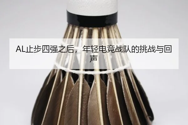 zhi-bu-si-qiang-zhi-hou-nian-qing-dian-jing-zhan-dui-de-tiao-zhan-yu-hui-sheng-2-495.jpg